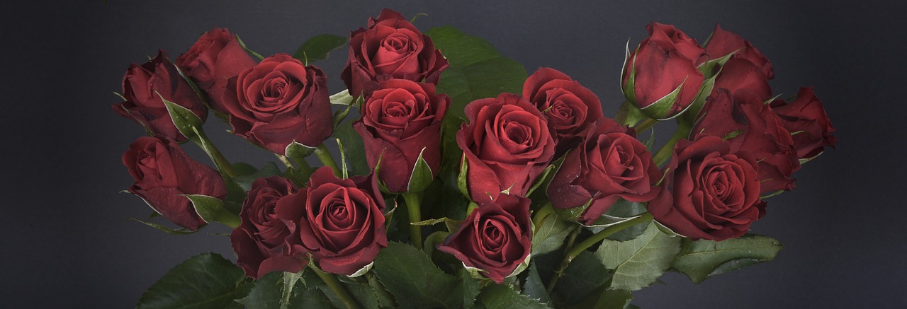 roses-1473683_1280.jpg
